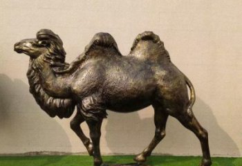 駱駝雕塑廠家，公園動(dòng)物小品，玻璃鋼仿真駱駝雕塑廠