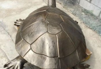 古銅色海龜雕塑供應商 大型城市雕塑 商業街擺件